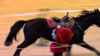 Ukraine Cossacks at Olympia Horse Show [upl. by Lav983]