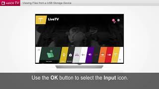 LG TV Viewing Files from a USB Storage Device webOS [upl. by Jarl858]