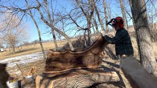 Unedited slabbing a Bur Oak for epoxy River tables [upl. by Daitzman]