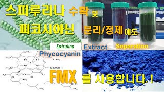 Phycocyanin Filtration FMXB 221102 [upl. by Leirrad]