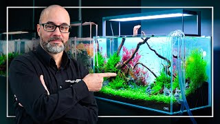 A Perfect Tutorial to Start Your FIRST Planted Aquarium [upl. by Tarr968]