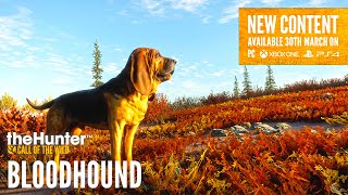 GOING HUNTING WITH NEW DOGS THEHUNTER CALL OF THE WILD BLOODHOUND DLC [upl. by Yves]