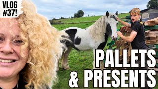 Horsebox Tyres amp Pallets Galore Vlog37 [upl. by Dianne]