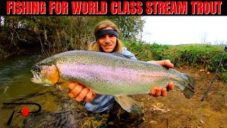 World Class Stream Trout Fishing [upl. by Rumit]