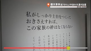 ガヤガヤ330 樹木希林 遊びをせんとや生まれけむ展・完全版④ [upl. by Ellak]