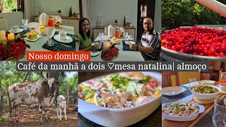 Nosso domingo a dois💑 preparei café da manhã e almoço delicioso  colheita de acerola e mais [upl. by Arick]