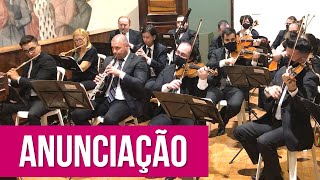 Anunciação instrumental  Alceu Valença [upl. by Yllehs]