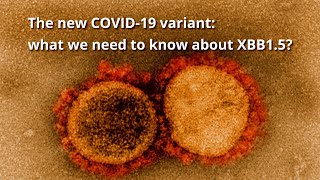 The new COVID19 variant what we need to know about XBB15 [upl. by Ysnap]