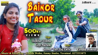 Bainor Tadur  Video Song  New Gondi Songs  Jimmy Studio [upl. by Elolcin123]