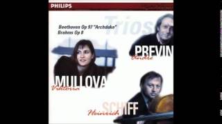 Lv Beethoven Piano Trio No7 in B flat major Op97 quotArchdukequot [upl. by Aihsakal]