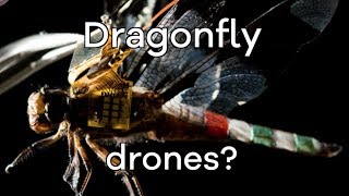 Living dragonfly drones take flight  BBC Click [upl. by Nebra]