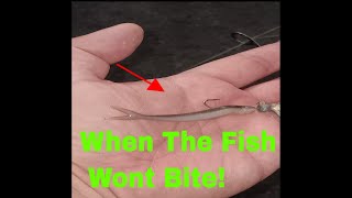 Fishing Tips For The TOUGHEST Conditions [upl. by Yrehcaz521]