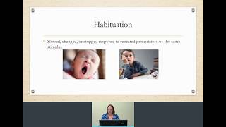 Habituation amp Dishabituation in developmental psychology  with Dr Z [upl. by Sissy848]