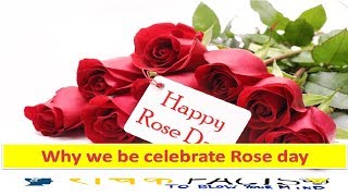 Why we be celebrate Rose day [upl. by Atolrac]