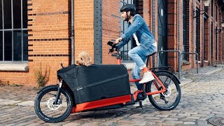 Riese and Muller Packster 70 Electric Cargo Bike Review [upl. by Godding882]