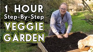 New Vegetable Garden How To Get Started [upl. by Hanoj]