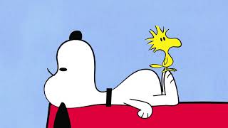 Snoopy and Woodstock  Compilation 5 [upl. by Bernadene]