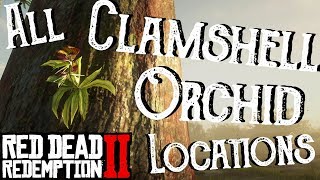 Red Dead Redemption 2  All 10 Clamshell Orchid Locations Duchesses and Other Animals Exotics RDR2 [upl. by Tandy]