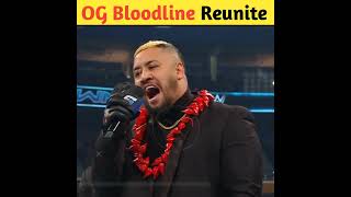 Roman Reigns and Sami Zayn reunite The Og Bloodline shorts wwe [upl. by Valoniah]