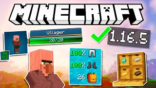 10 USEFUL MODS for MINECRAFT 1165 great value mods [upl. by Aralc]