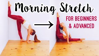 Do this Every Morning to get Flexible Morning Flexibility Stretch Routine [upl. by Cira]