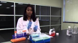 Micropipetting Basics [upl. by Roice104]