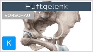 Hüftgelenk Aufbau und Funktion Vorschau  Anatomie des Menschen  Kenhub [upl. by Mimi]