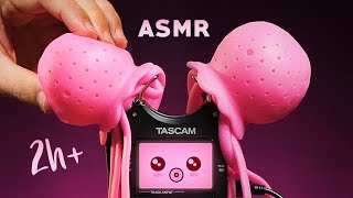 ASMR KAWAII XXL Tascam Trigger Assortment for Deep Relaxation amp Intense Tingles NO TALKING [upl. by Naid]