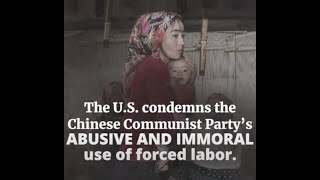 Forced Labor in Xinjiang [upl. by Millwater203]