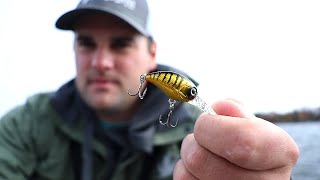 Trolling Micro Crankbaits for Crappie in the Fall ep12 of 30 Day Challenge [upl. by Aoht]