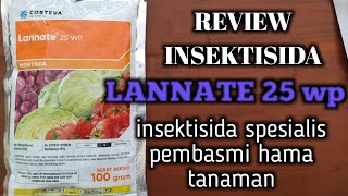 review insektisida LANNATE 25 WP  insektisida untuk hama ulat [upl. by Yzdnil]