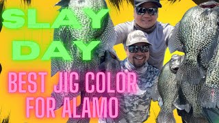 PART 2  CHOPPING GIANT CRAPPIE ON ALAMO LAKE THE WESTS BEST CRAPPIE FISHING HOT SPOT SLABBOSS [upl. by Annwahs441]