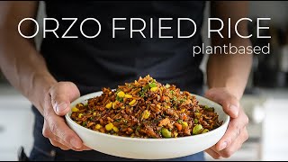 The Orzo Fried Rice FUSION Recipe nobody asked for [upl. by Merritt]