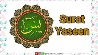 Surah Yaseen يس‎ سورة  Quran Surah  Dawoodi Bohra  Mumeneen Akhbar [upl. by Elum]