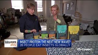 How this company is pushing to make insect protein the next alternative meat craze [upl. by Niwred679]