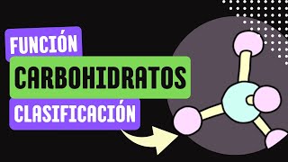 Carbohidratos FUNCIÓN y CLASIFICACIÓN 🔬 [upl. by Stace853]