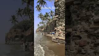 Revdanda Beach is a beautiful clean beach in Alibaug Maharashtra India [upl. by Gnok991]