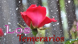 Los Temerarios Romántico Los Temerarios Mix Para Enamorarse Mas Los Temerarios Puros Exitos [upl. by Hiett]