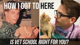 Is Vet School Right For You My Experience [upl. by Aniakudo]