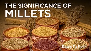 Why millets in India [upl. by Mraz658]