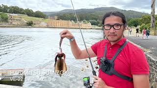 Squidding at Port Arthur Tasmania [upl. by Brody371]