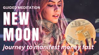 NEW MOON Meditation JANUARY 2025  Reiki to Clear Financial Blocks Attract amp Manifest Money FAST [upl. by Matronna751]