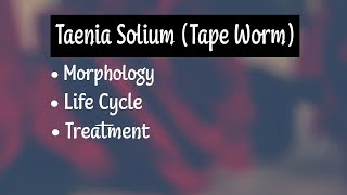 Taenia Solium Morphology Life Cycle Treatment [upl. by Esinet]