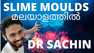 slime moulds class 11  malayalam  kingdom protista class 11 biological classification  plus one [upl. by Daahsar103]