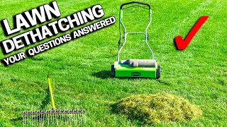 DONT DETHATCH Your LAWN Before Watching  Your Questions Answered [upl. by Eustace]