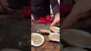 HOW TO MAKE Baked Oysters [upl. by Mikahs431]