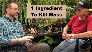 How to KILL Moss in your lawn for beginners [upl. by Ennovy423]