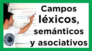 Campo semántico CAMPOS LÉXICOS campo asociativo familia léxica [upl. by Attehcram676]