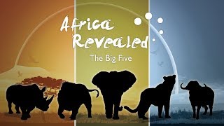 Africa Revealed What are the big five [upl. by Asiil987]