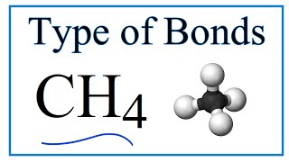 Type of Bonds for CH4 Methane [upl. by Hanyaz792]